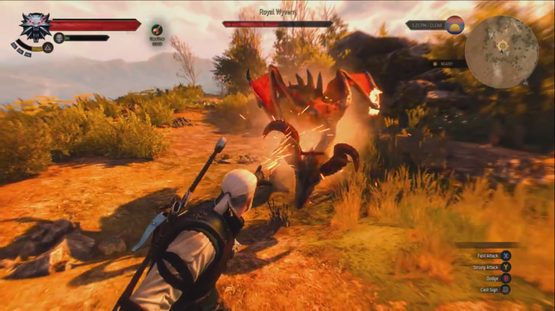 The_Witcher_3_-_Wild_Hunt_fighting_royal_wyvern